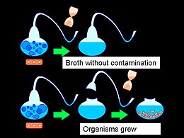 Louis Pasteur's spontaneous generation experiment illustrates that liquid nutrients are spoiled by particles in the air rather than the air itself. These results of these experiments supported the germ theory of disease. Experiment Pasteur English.jpg