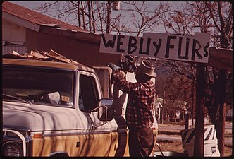 Fur Buying and Selling Is Brisk During the Hunting Season in Leakey, Texas