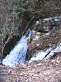 Kline Hollow Waterfall (Larrys Creek tributary)