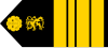 Lieutenant Colonel