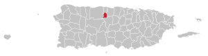 Карта Пуэрто-Рико с указанием муниципалитета Флориды