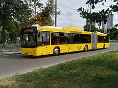 MAZ-215 Bus in Kyiv