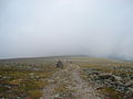 Trail leading to the summit of Mont Jacques-Cartier