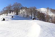 山頂直下の北側の猪臥山林道から望む右奥の猪臥山の山頂