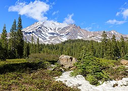 Vue du mont Shasta, depuis Bunny Flat. Cet endroit étant desservi par une autoroute, c'est le point d'accès le plus populaire aux randonnées autour du mont Shasta.