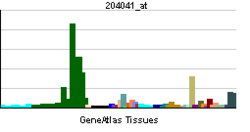 PBB GE MAOB 204041 at tn.png