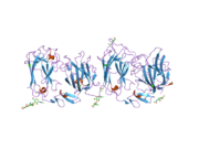 2e26: Crystal structure of two repeat fragment of reelin