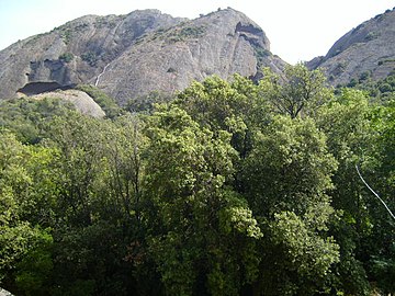 El "Bec D'Aigle", y encinas nativas de Provenza.