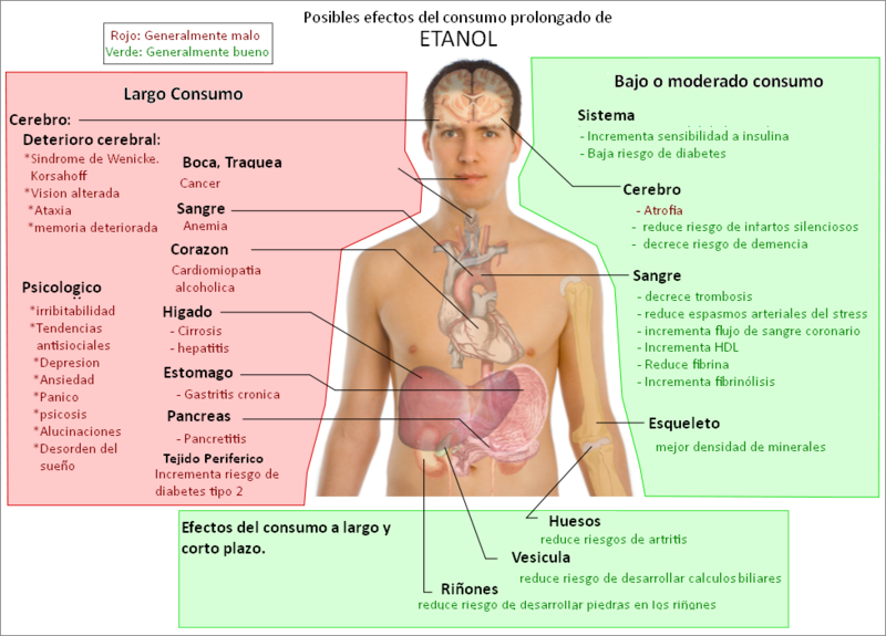 Archivo:Possible long-term effects of ethanol-spanish.png
