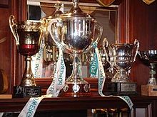 The Powergen Cup (centre) seen in the London Irish clubhouse at Sunbury in 2002 Powergen Cup.jpg