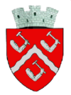 Coat of arms of Târgu Ocna