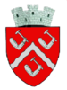 Coat of arms of Târgu Ocna