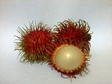 Rambutan v bílém bg.jpeg