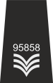 Знак различия полицейских сил Хэмпшира - Special Sergeant.svg