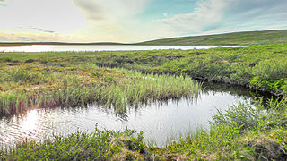 The river at its source Lake Nuorttit Rávdojávri.