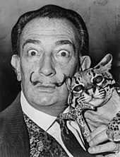 Sur une photographie en noir et blanc, Salvador Dalí avec de gros yeux tenant un ocelot et le pommeau de sa canne