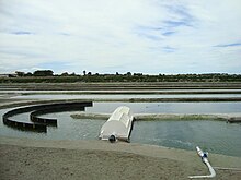 Image of an Algae Raceway Pond
