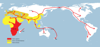 A map of early human migrations Spreading homo sapiens la.svg