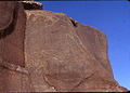 Pétroglyphe représentant un éléphant, région de Taghit, Algérie