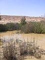 תמונה ממוזערת לגרסה מ־18:45, 5 באפריל 2013