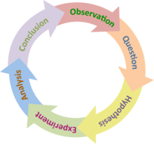 The scientific method is a continuous cycle of observation, questioning, hypothesis, experimentation, analysis and conclusion. The Scientific Method (simple).png