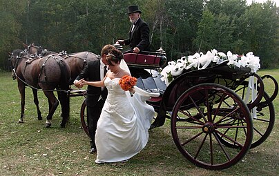 Bride descending from a decorated wedding carriage