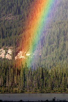 Lever d’arc-en-ciel sur une forêt canadienne. (définition réelle 1 360 × 2 048*)