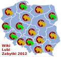 Stan przygotowań do konkursu – zabytki w województwach (WLZ 2011)