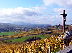 Herbst im Zellertal