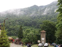 Резерват „Риломанастирска гора“