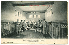 Alfort, École Nationale Vétérinaire