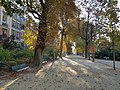 Photo prise en automne d’une allée entourée d’arbres