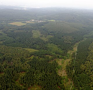 Die Kleine Schmalenau im Breitenbrucher Wald, im Hintergrund Breitenbruch.