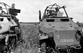 Le général von Langermann und Erlencamp à bord d'un Sdkfz 251, Russie, juin 1942.