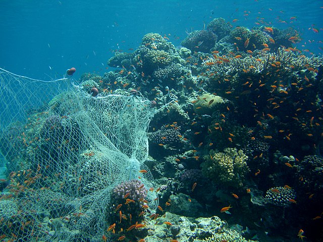 abandoned fishing net on coral reef