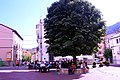 Paisaxe urbano de Camarena de la Sierra (Teruel), con detalle de la castañal d'indies (Aesculus hippocastanum) na plaza Mayor (2017).