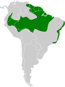 Distribución geográfica del saltarín dorsiazul.