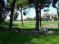 Il Circo Massimo