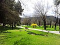 City Park called Zrinjevac in Mostar