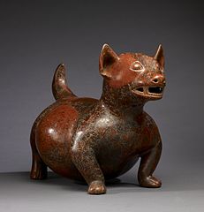 Собаки в Мезоамериканском фольклоре и мифологии[англ.]