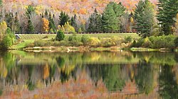 Corcoran's Pond in Valley Rd