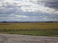 Coteau des Prairies vu du nord-est, près de Lidgerwood, Dakota du Nord.