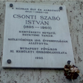Csonti Szabó István Lágymányosi utca 17/b.