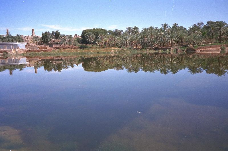 OASIS DE DAKHLA, Ruta-Egipto (1)