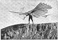 File:Die Gartenlaube (1899) b 0565_3.jpg Fig. 6. Lilienthals Flugapparat Nach einer Augenblicksaufnahme von Ottomar Anschütz G. m. b. H. in Berlin