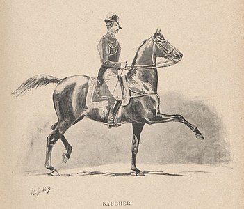 François Baucher, illustration pour Propos d'un écuyer de François Musany (1895).
