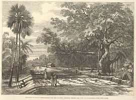 Böschung der Kalkutta-Eisenbahn hinter der Stadt Serampore, 1853[1]