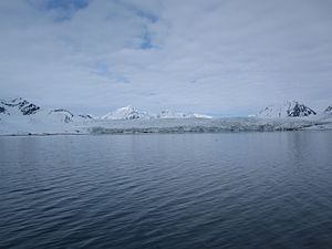 Esmarkbreen von der Ymerbucht aus gesehen