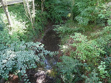 L'Estrop presque à sec au pont de la RD 936, en limite de Montcaret et Vélines.