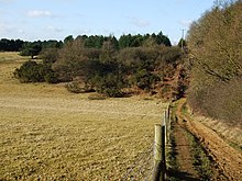 Picture of an fence and track along the edge of the woodland